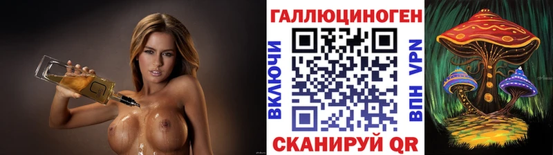 darknet Telegram  Краснообск  Галлюциногенные грибы GOLDEN TEACHER 